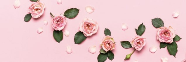 あんぽんたん banner