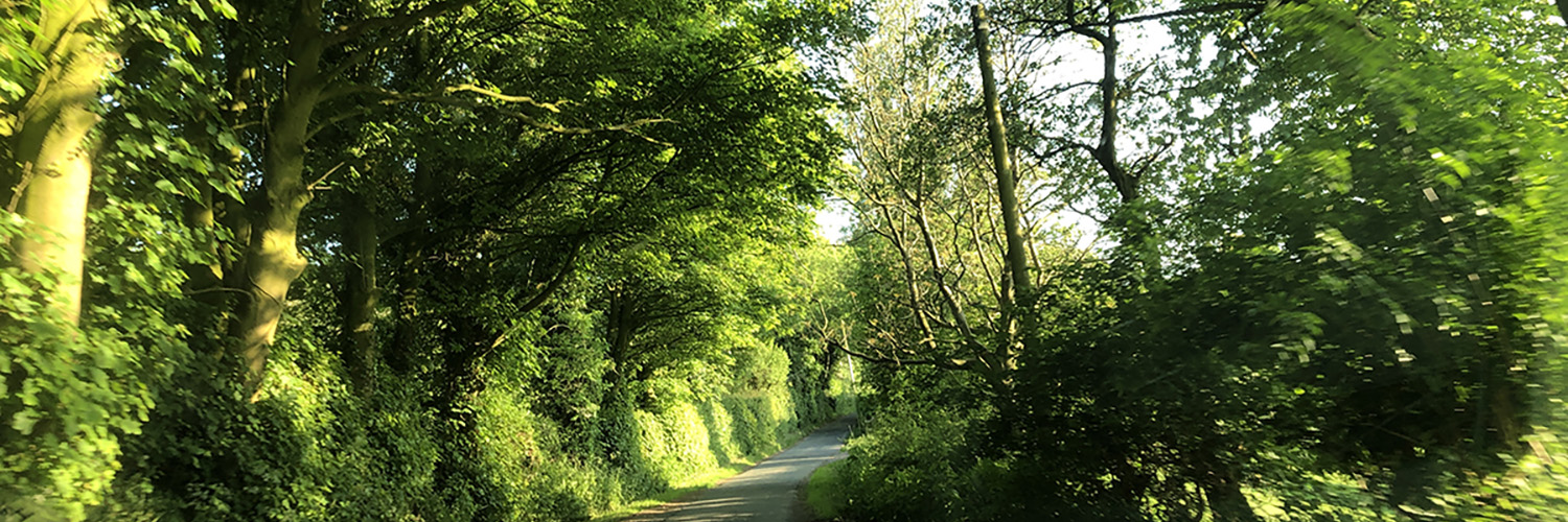 jentunney's profile banner image