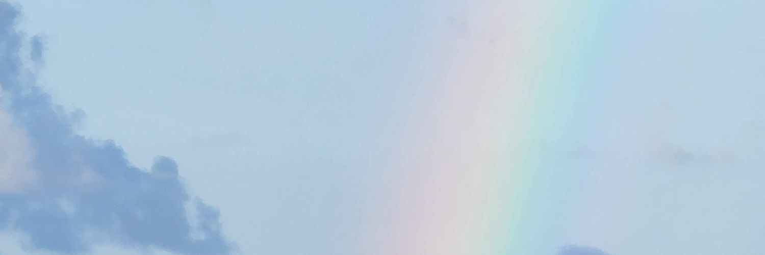 ChickyTaco's profile banner image