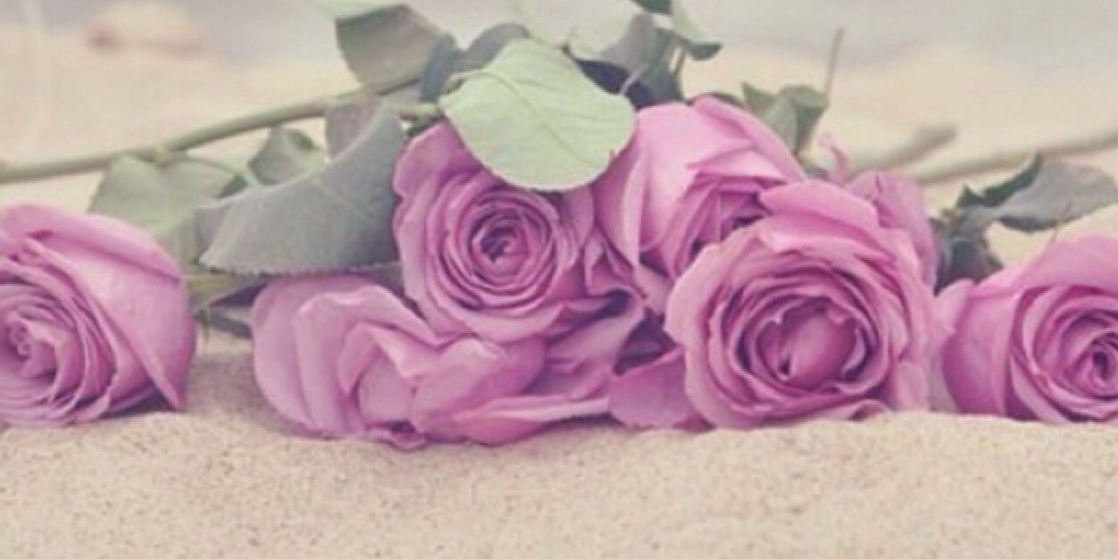MadyLove's profile banner image