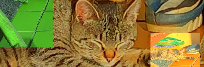 malefedzfedz's profile banner image