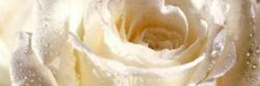 vervanes's profile banner image