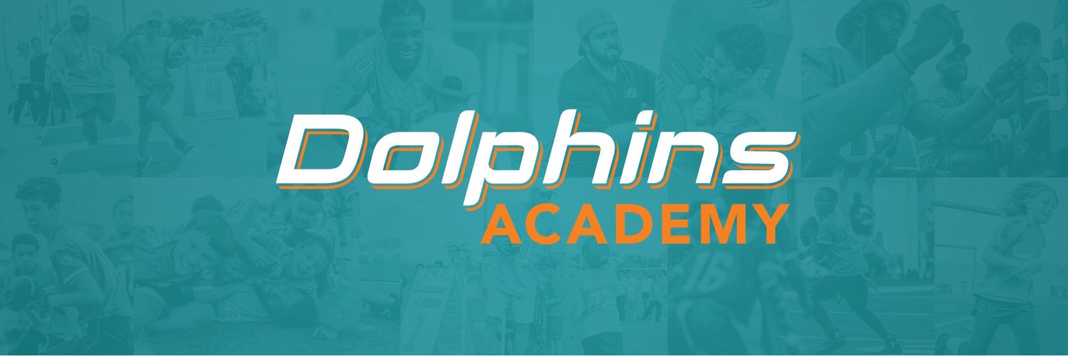 Dolphins Academy banner