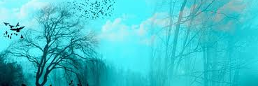 TheBlueNimbus's profile banner image