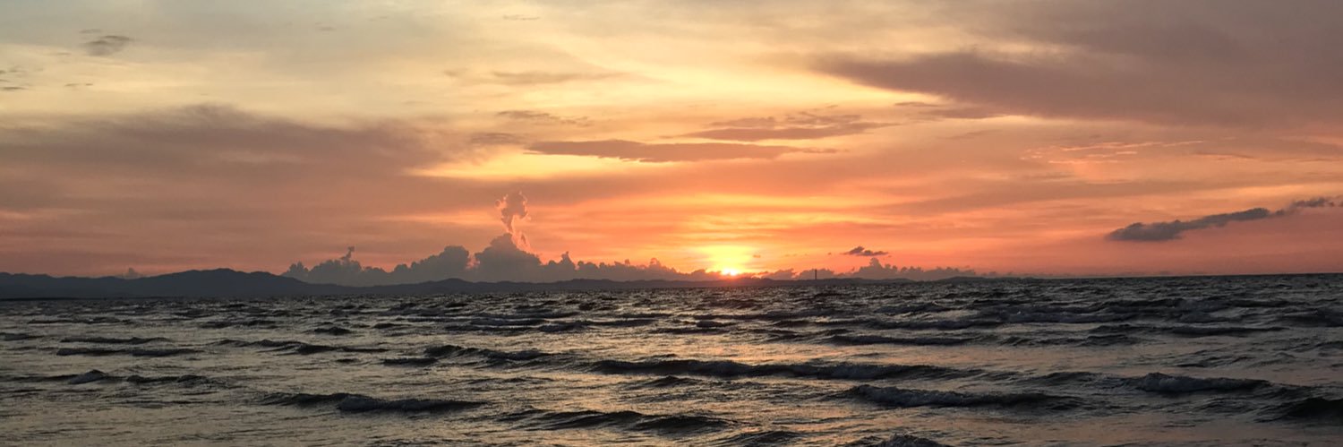 ronjaydags's profile banner image