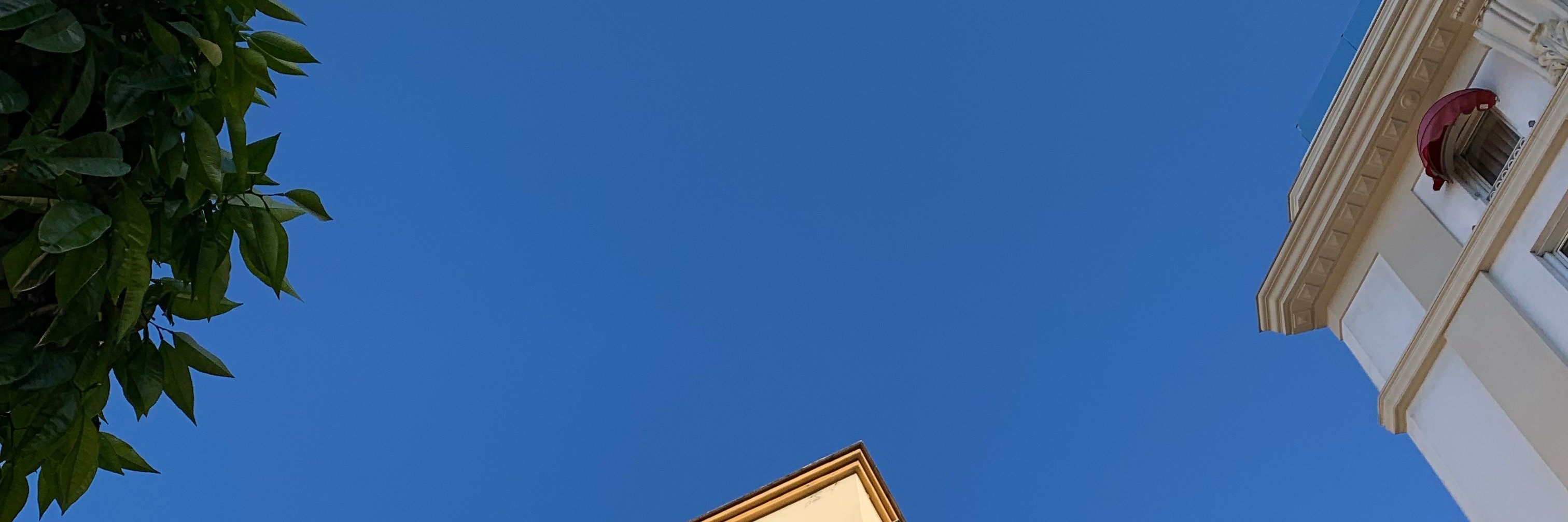 Sonia Contero banner