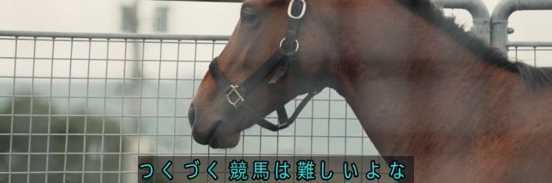 ヤヨイ🐴 banner