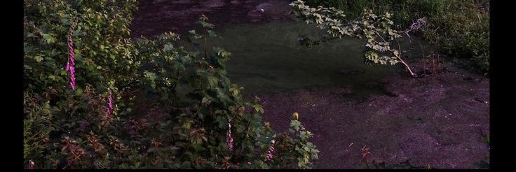 Joshueyyy's profile banner image