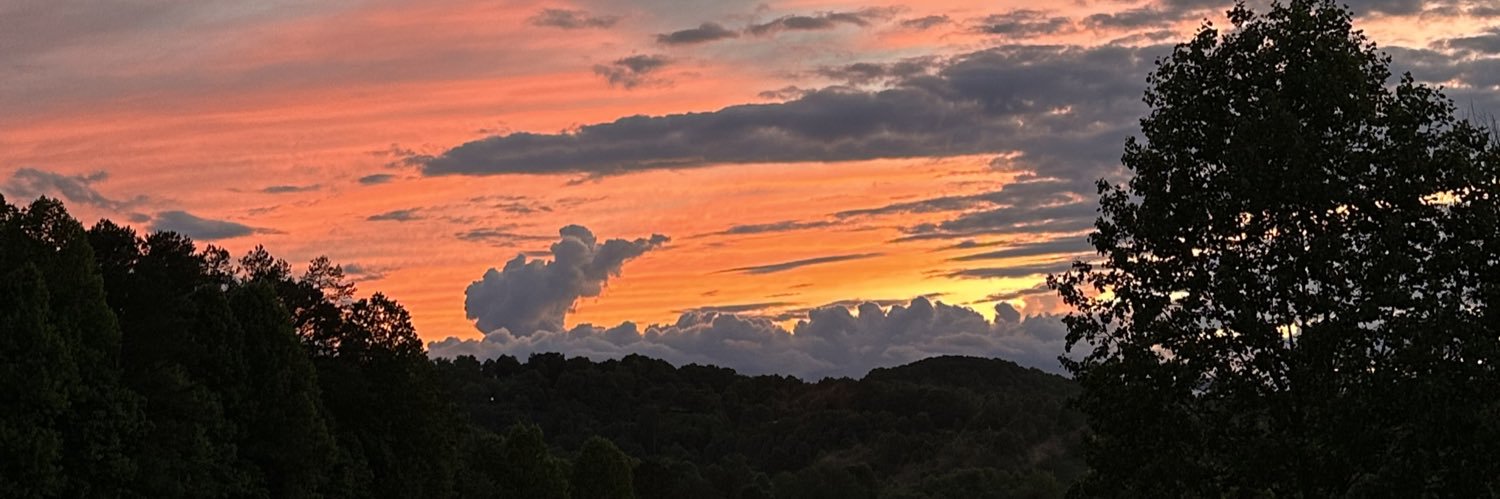 Tyler Skellinger banner