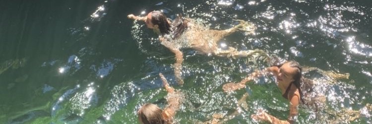 ℘ banner