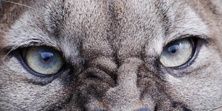 AustinWrestling's profile banner image