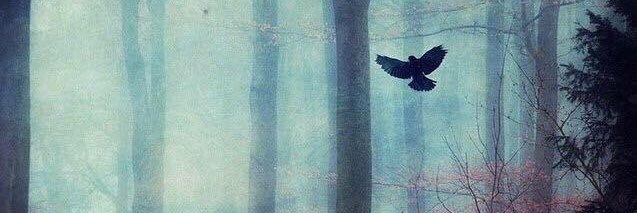 ashtardy's profile banner image