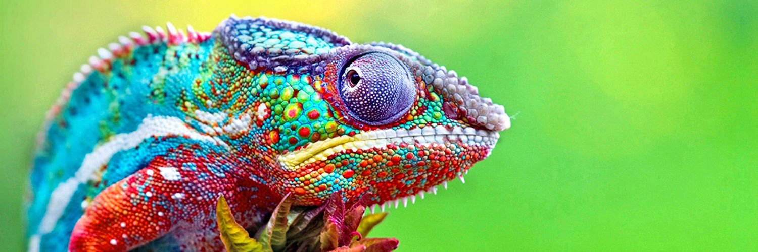 Rotonda_Ce's profile banner image