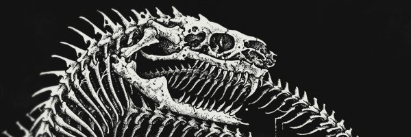 Sethamander's profile banner image