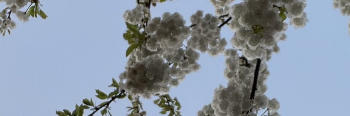 ria_j's profile banner image