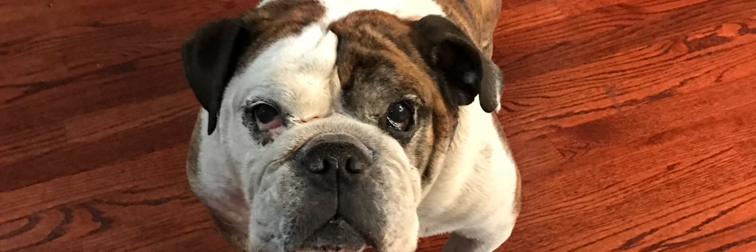 bonillaa58's profile banner image