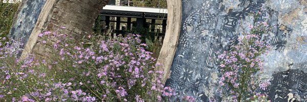 PiaVision Profile Banner