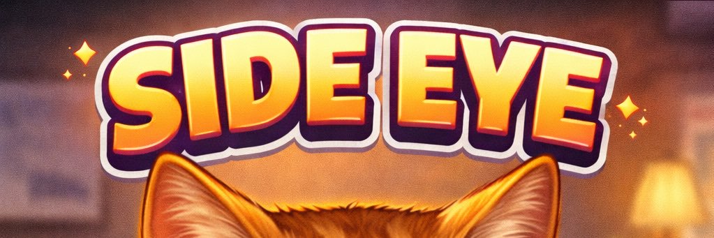 Side Eye Cat banner