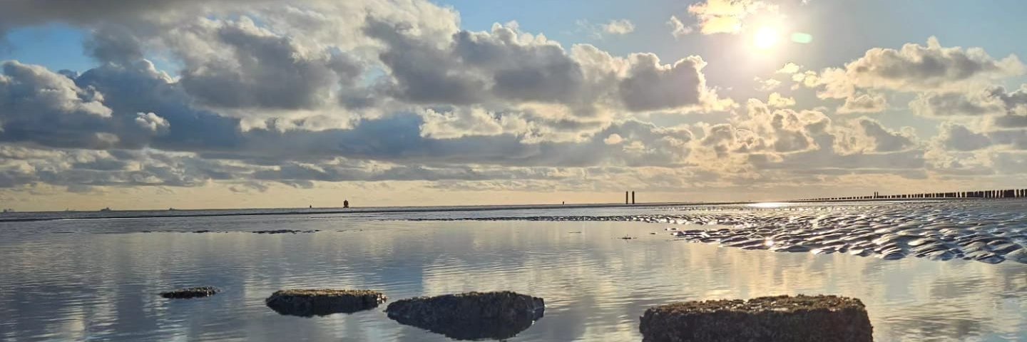 Ad Rem vlijmscherp!!💛💙💛💙💛💙💛💙 banner