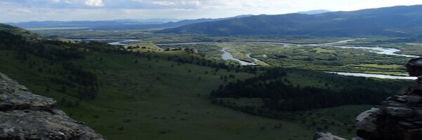 mishafredmeyer Profile Banner