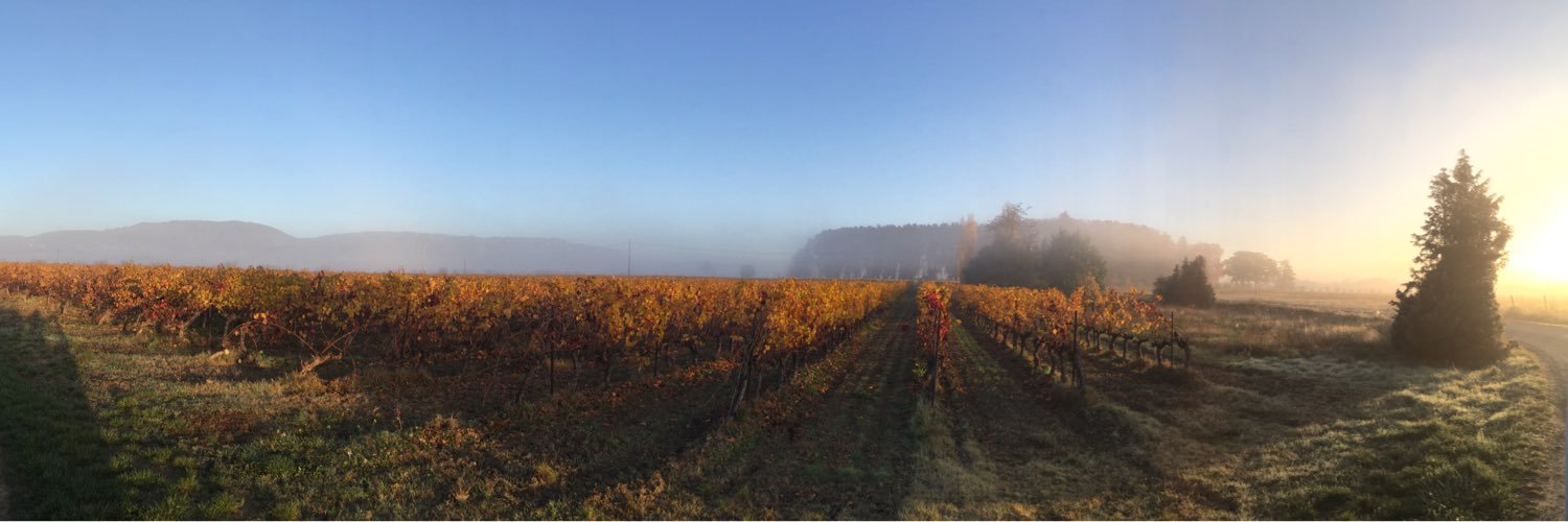 jgdherbes's profile banner image