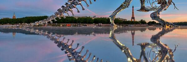 ジャスミン banner