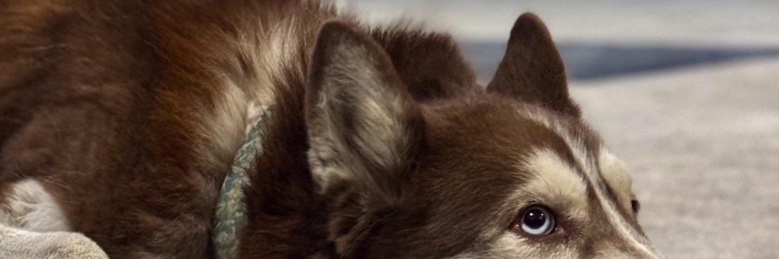 𓆰𓆪 BATمن banner