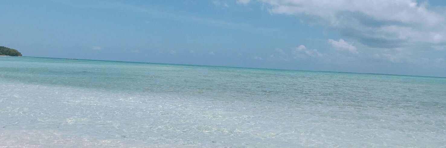 pgpplv's profile banner image