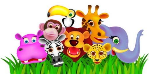 AnimalsTime's profile banner image