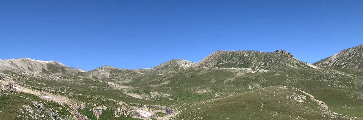 Джейсон Маммолог banner