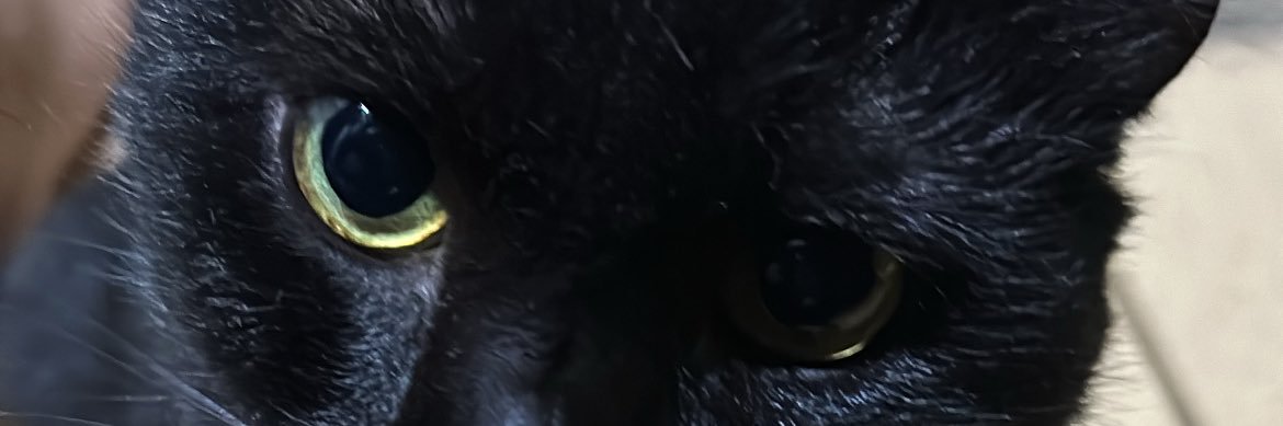 ramdelaw's profile banner image