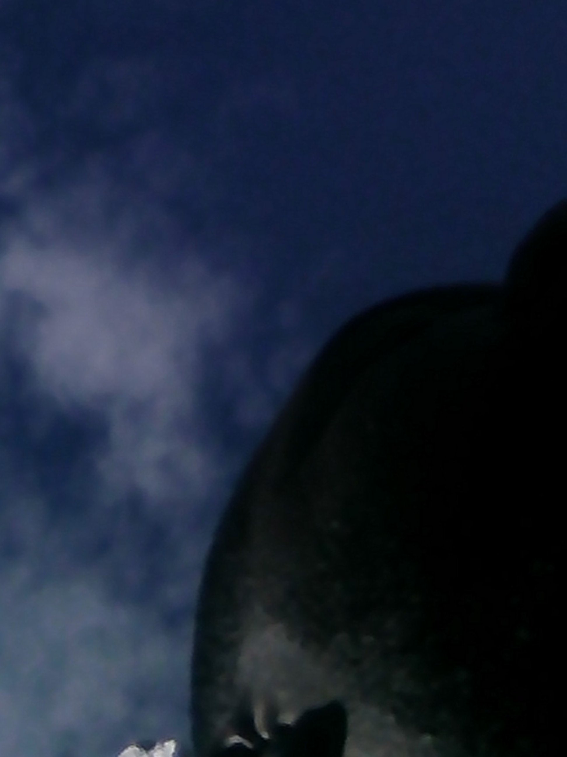 BShylock's profile banner image