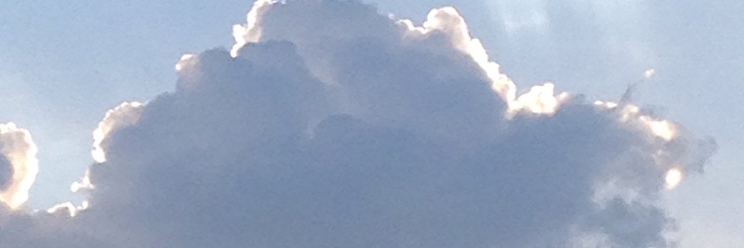 Lew_Kaplan's profile banner image