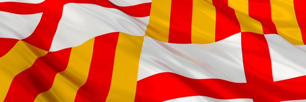 Historia_BSC Profile Banner