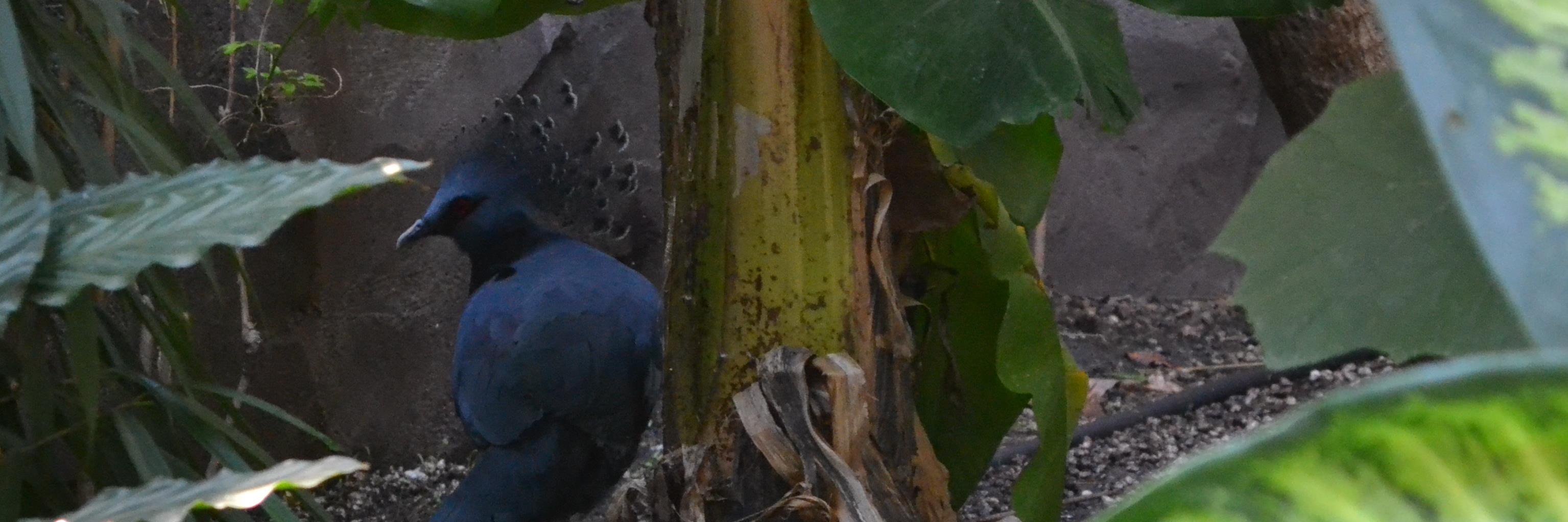 RachelHarper11's profile banner image