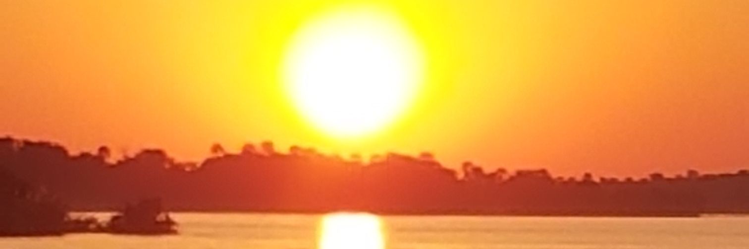 SheppyGands's profile banner image