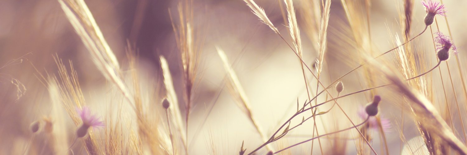 gracerharris's profile banner image