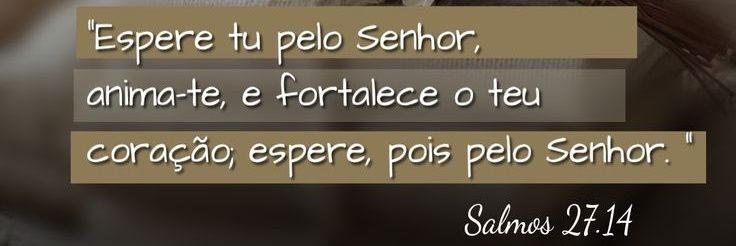 Francis Fais Reis ✨ banner