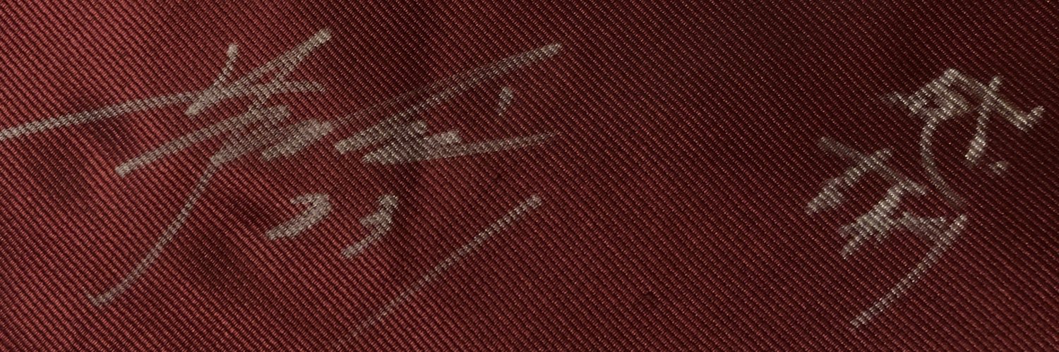 momiagecarp's profile banner image