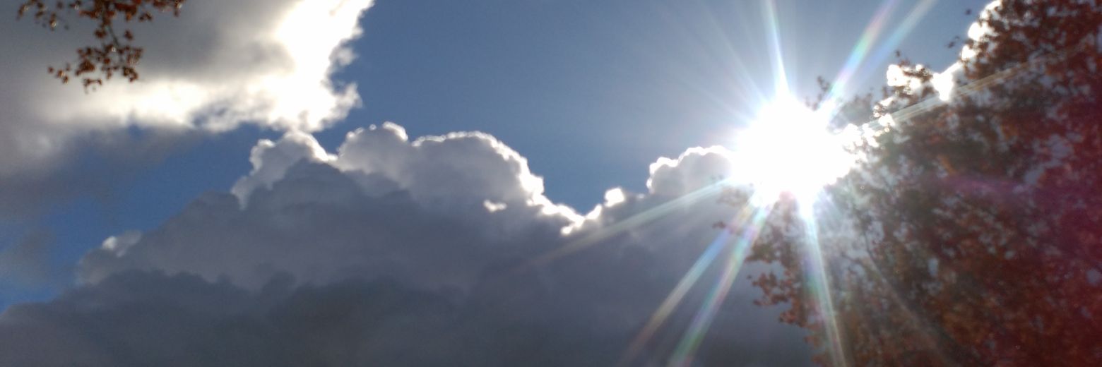srMonkey13's profile banner image