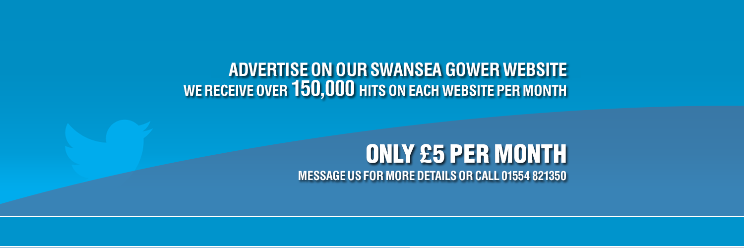 Where To In Swansea banner