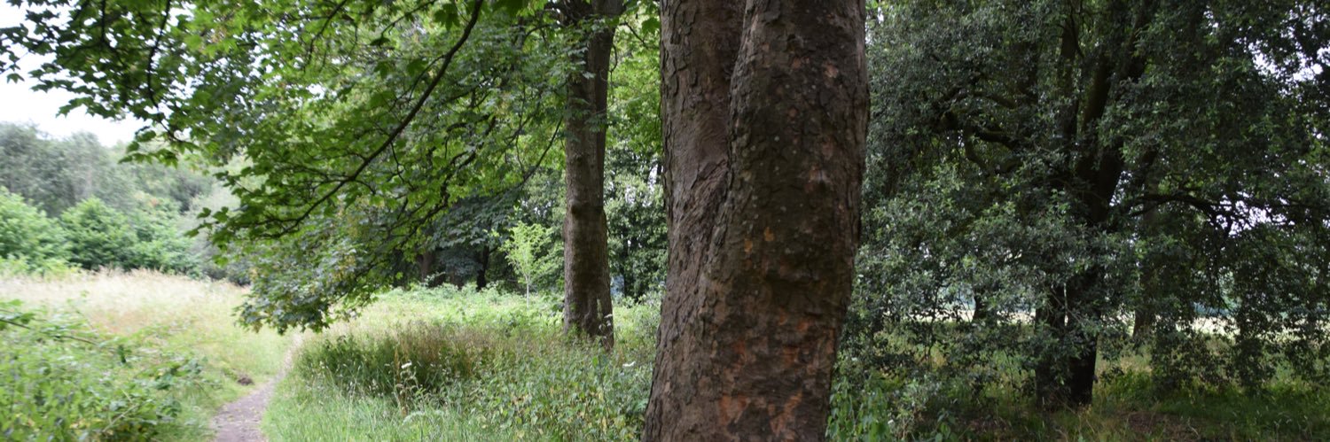 Save_IantoJones's profile banner image