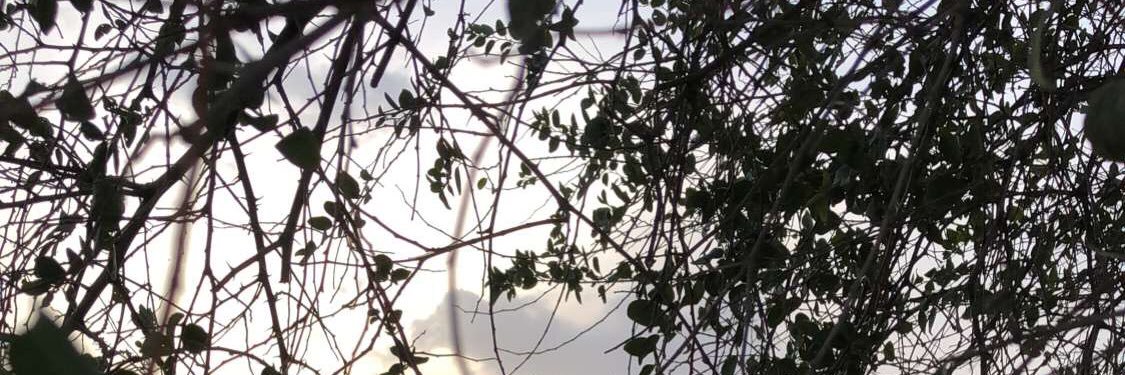 alreem080's profile banner image