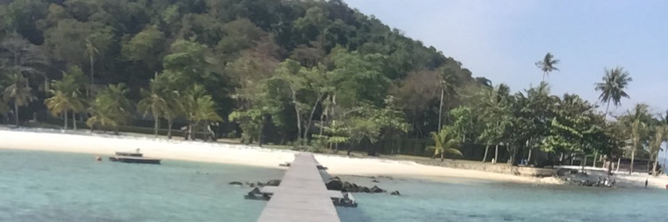linus_rosberg's profile banner image