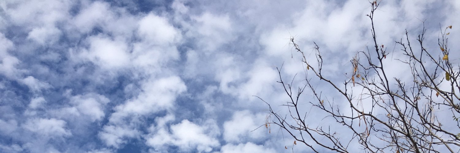 atyeozkn's profile banner image