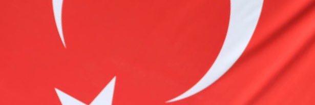 mebasbug's profile banner image