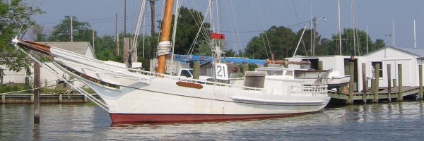 sailvarmint Profile Banner