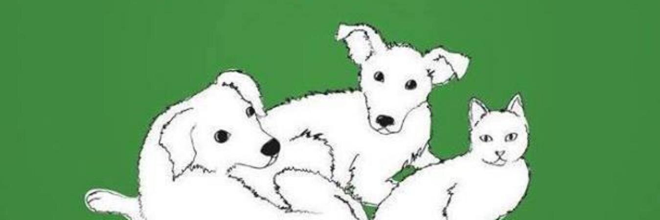 MamiAngelesBG's profile banner image