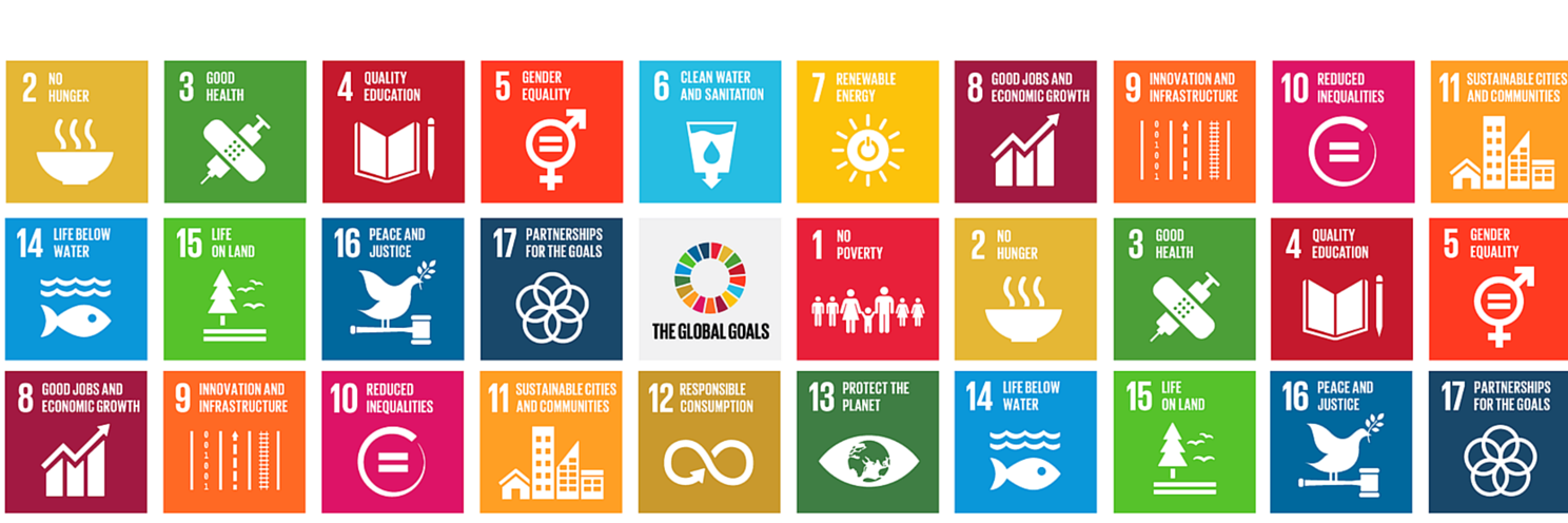 UNDP Belarus banner