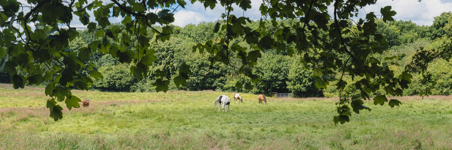 Simon Turkas Photography 📷 banner